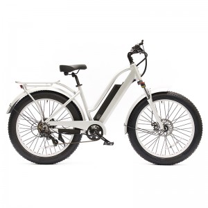 High-Quality OEM 26*4.0 Electric Fat Bicycle Manufacturers Suppliers –  48V 350W white high performance electric bike for ladies – IMI