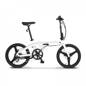 20 colių 48V750W suaugusiųjų elektrinis dviratis su stora padanga