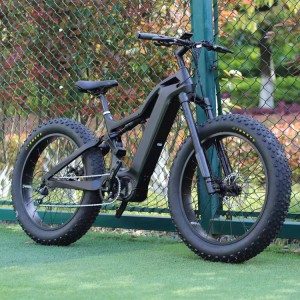 48V 1000W Powerful Carbon Fibre Electric Fat Tyre Mountain Bike