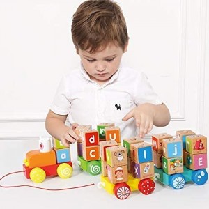 Arkmiido Wooden Building Blocks,Pull Along Wooden Train Toys,26 PCS Alphabet Letters Block Set Montessori Educational Toys for 3 Years Old