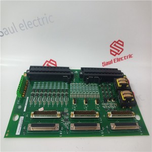 OEM/ODM Factory  TRIPLEX T8403  – Rockwell ICS T8842 Reliable Trusted Versatile FTA – SAUL ELECTRIC