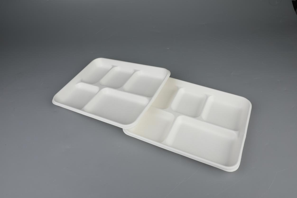 Біорозкладаний посуд, захист навколишнього середовища, піднос для багаси з 5 відділеннями