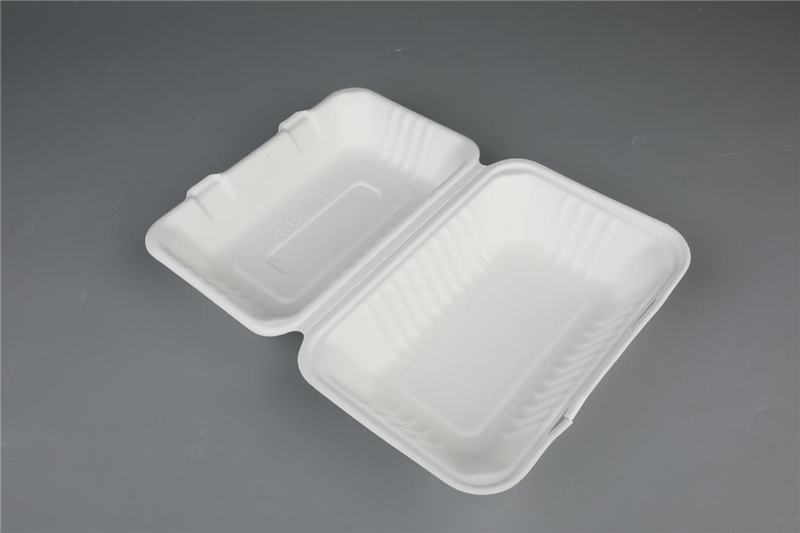 Degradable Compostable Qab Zib Bagasse Tableware 9 "× 6" Rectangle Clamshell