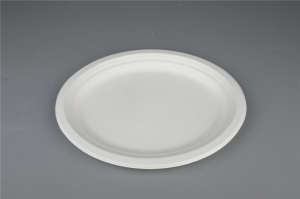 Degradable Tableware Protection Lingkungan Bagasse 10″/12″ Lempeng Oval