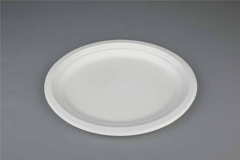 10″/12″ Oval Plates Environmental Protection Biodegradable Bagasse Tableware