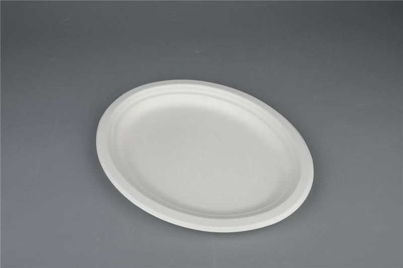 Enë tavoline e degradueshme Pllakë ovale 10"/12" Bagas për mbrojtjen e mjedisit