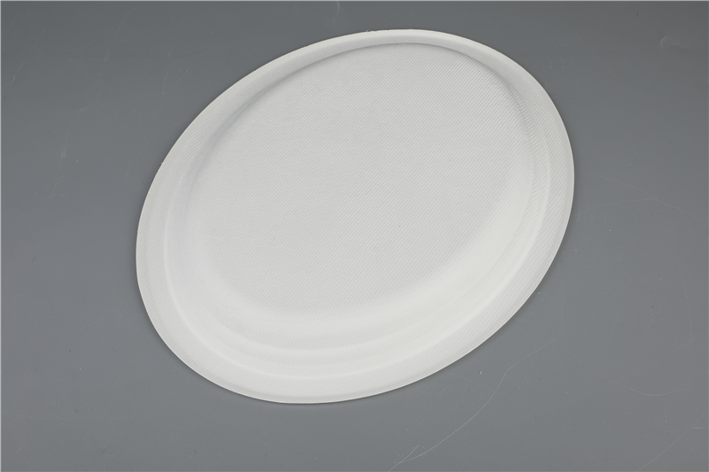 Degradable Tableware Environmental Protection Bagasse 10 "/ 12" Oval Phaj
