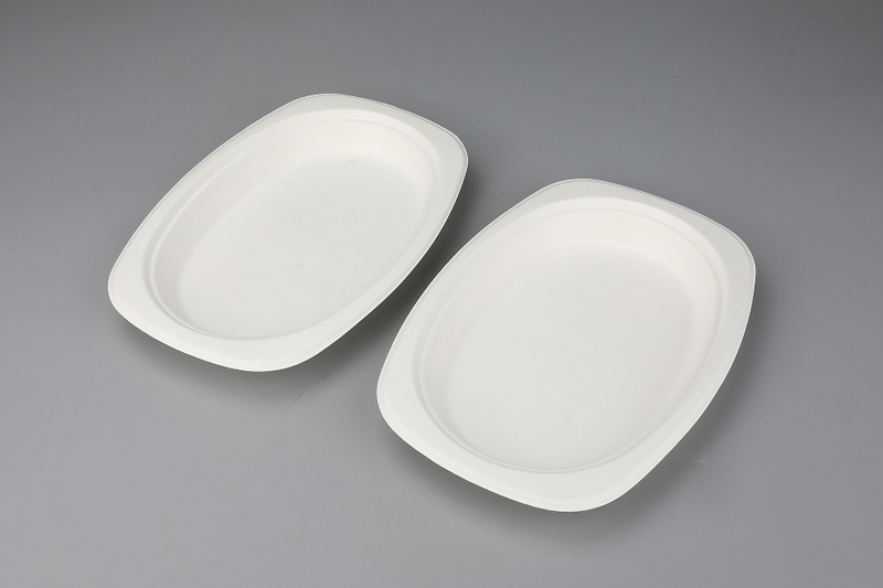 Tikoloho e Senyehileng ea Bagasse Tableware 9″×6″ Rectangle Oval Plate