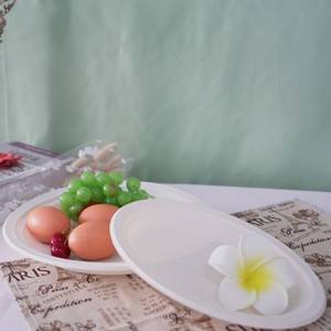 Environment-friendly biodegradable disposable corn starch plate