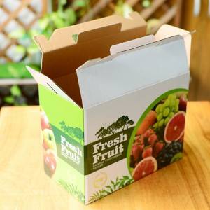 Europe style for Gift Presentation Boxes - Hot sale corrugated carton customized offset printing high quality fruit packaging box – Packada