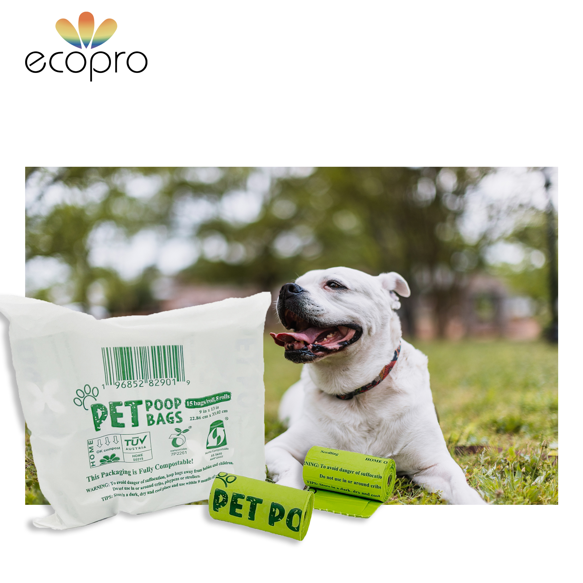 Produttore e fornitore di sacchetti biodegradabili per cacca di animali  domestici EN13432 all'ingrosso, fabbrica