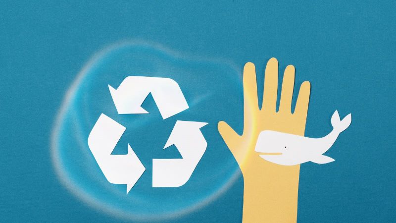 Dėmesys tvarumui: mūsų kompostuojamų maišelių universalus pritaikymas