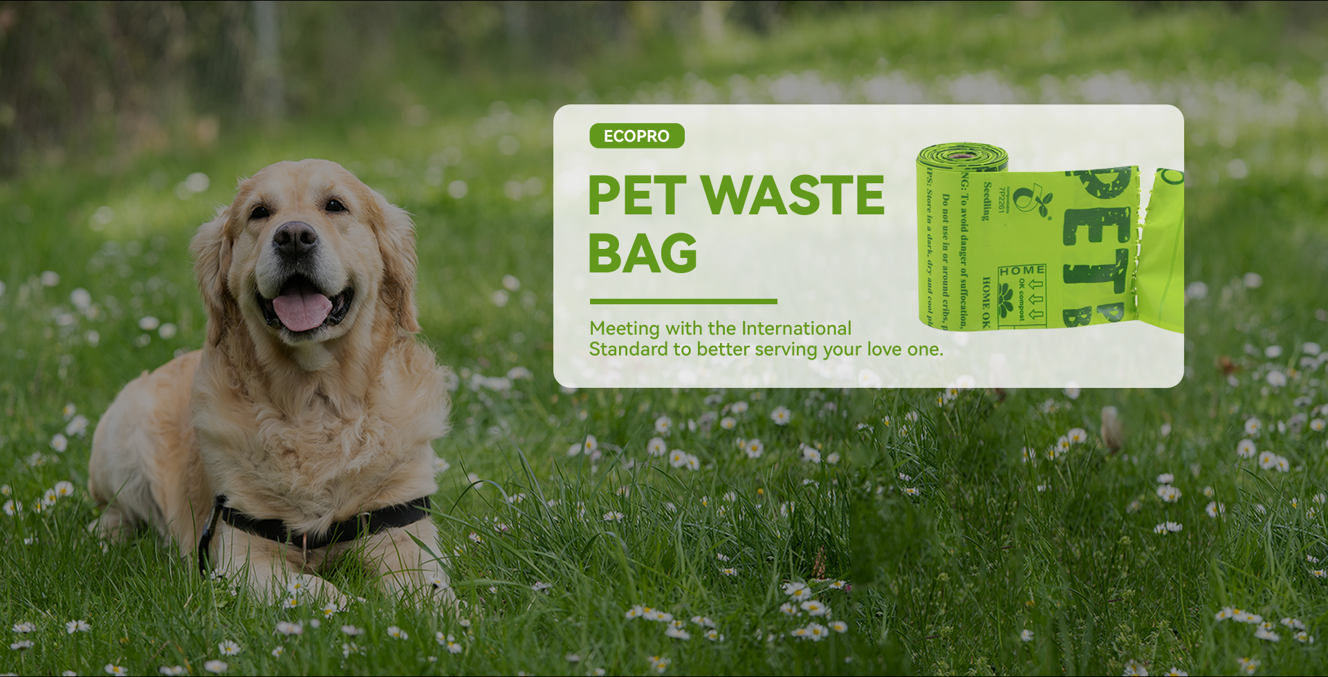Bolsa biodegradable compostable para excrementos de residuos de perros y mascotas Ecopro