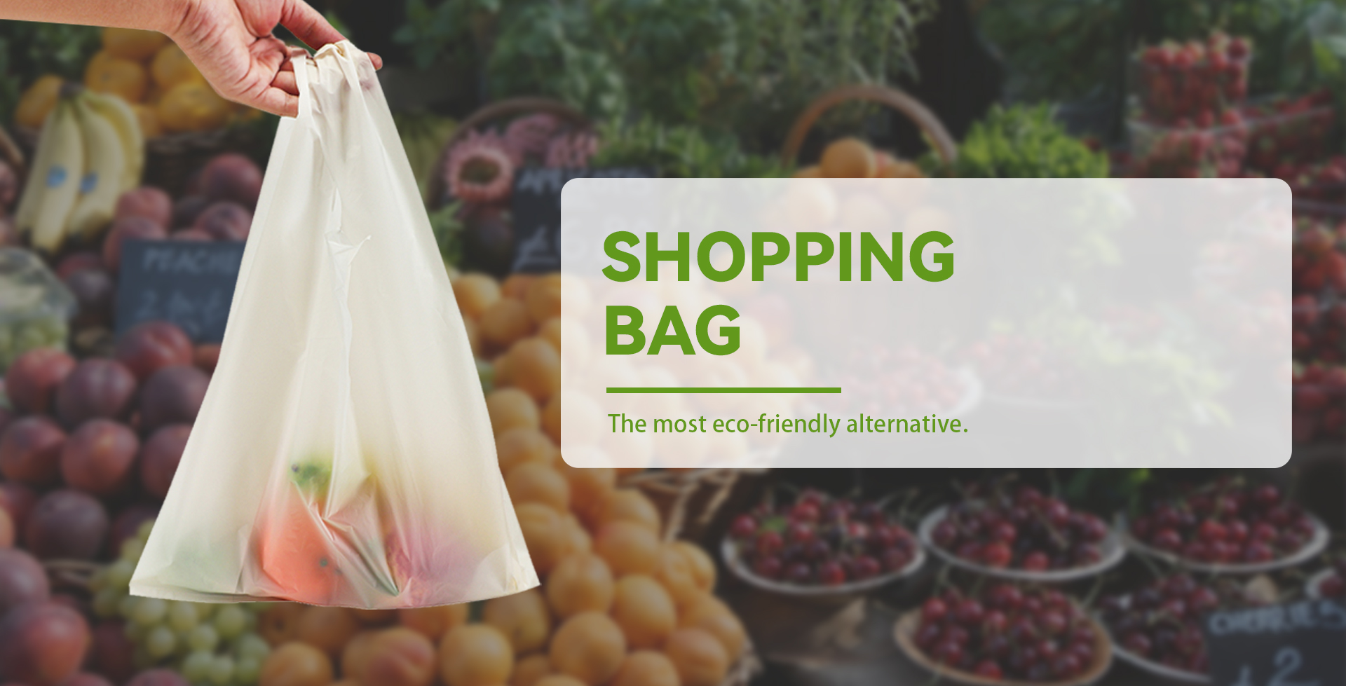 Kompostierbare, biologisch abbaubare Einkaufstaschen von Ecopro zum Servieren von Lebensmitteln