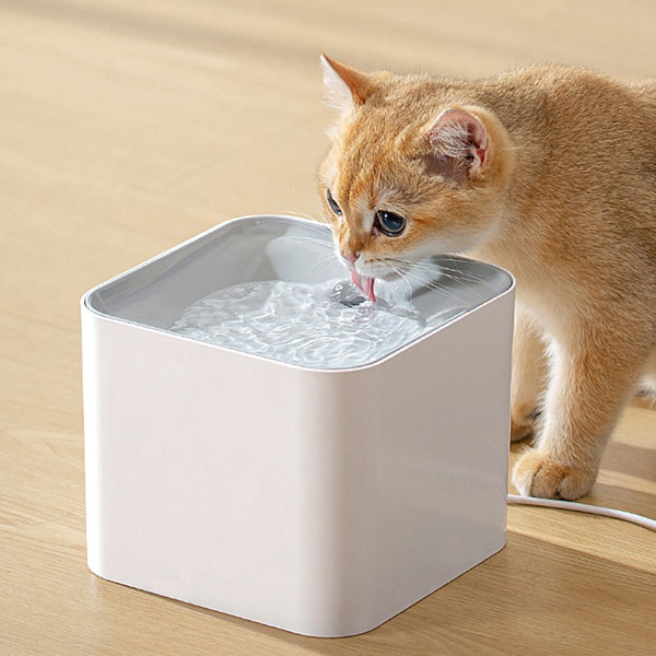 2 升自动宠物猫狗喂食器饮水器特色图片