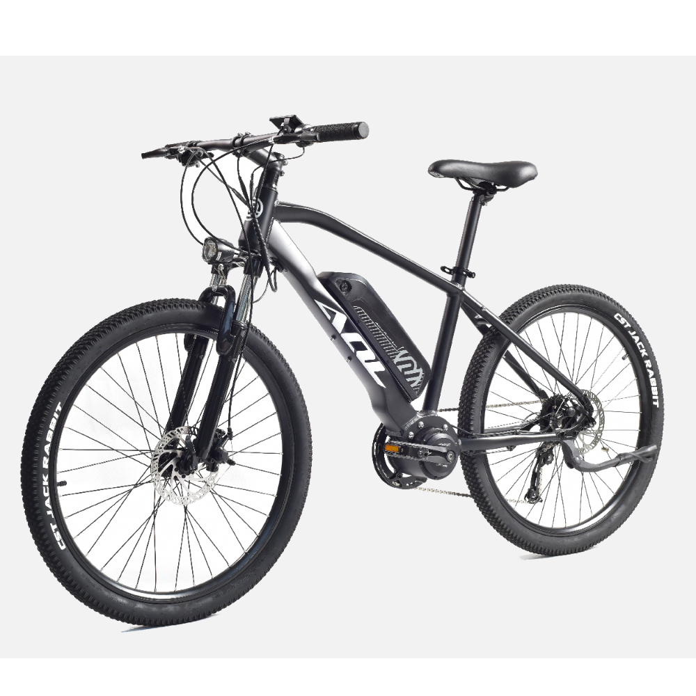 Electric Bicycle MTB Mid Drive Motor System Electric Bikes 36V/48V 350W Bicycles for Sale