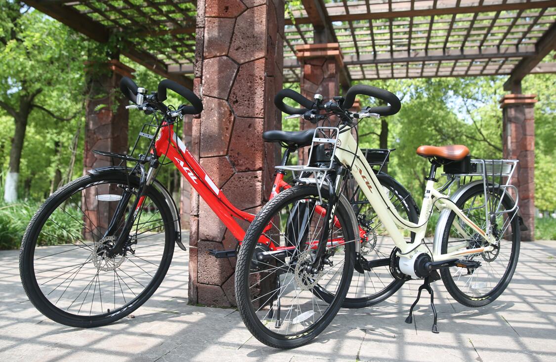 The Canadian government encourages green travel with electric bicycles