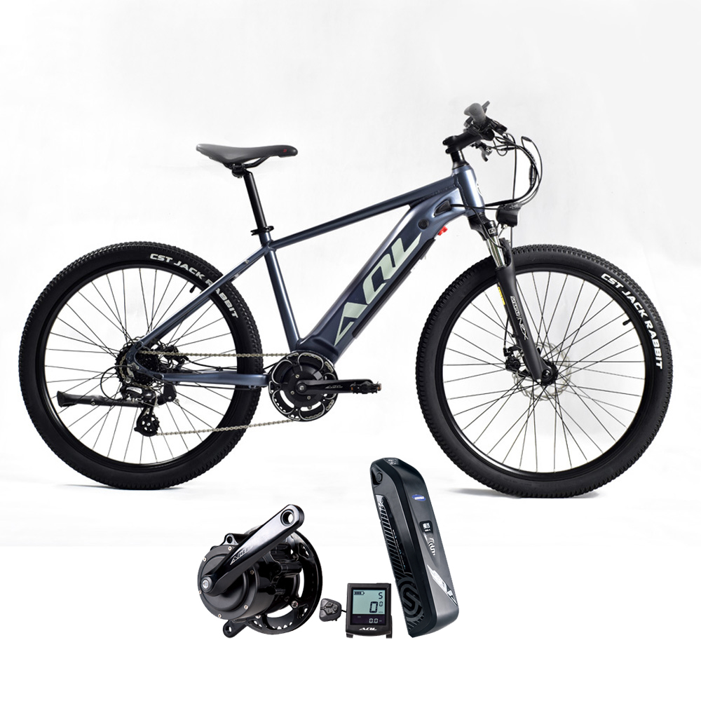 New Product In America 250W 36V 26″ 27.5″ 29″ Eectric Bicycle Adults City Mountain Electric Bike 10 speed