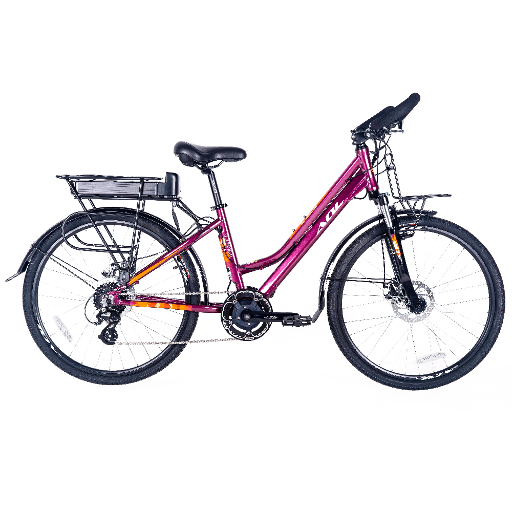 Powerful 250W 36V Mid Drive Motor 26″ City Frame Electric Touring Bike With Rear Carrier Lithium Battery Ebike Pedel