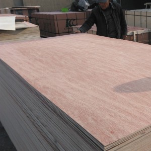 Plywood Kummerċjali -BINTANGOR PLYWOOD