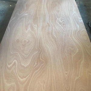 Sapele plywood -linyi dituo