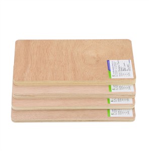 Okoume Multiplex is gemaakt van het hout van de Okoume-LINYI DITUO