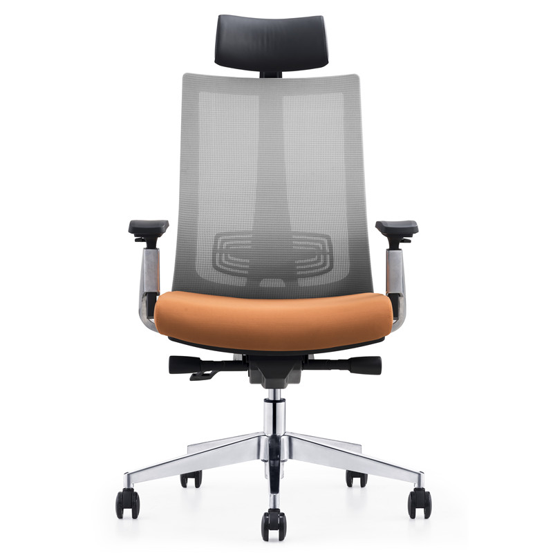 Rand Ergonomic Mesh Executive Chair modern home office chairs Featured Image