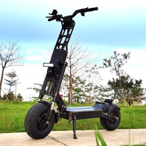 electic scooter adult