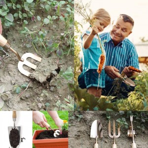 လက်ဆောင်သေတ္တာထဲတွင် သစ်သားလက်ကိုင်နှင့် ရွှေအချောထည်ခေါင်းများပါသည့် 3PCS ဥယျာဉ်ကိရိယာများ