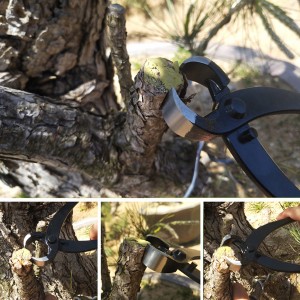 Conjunto de ferramentas de bonsai com 5 peças kits de aparar bonsai