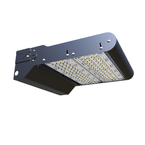 LiteProTM Rotatable Wallpack Light