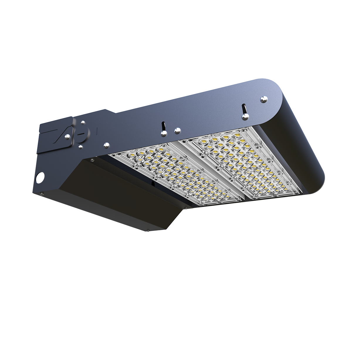 LiteProTM Rotatable Wallpack Light