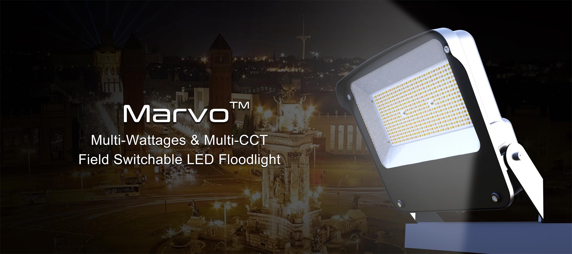 Marvo TM Flood Light - Field Wattage & CCT Adjustable