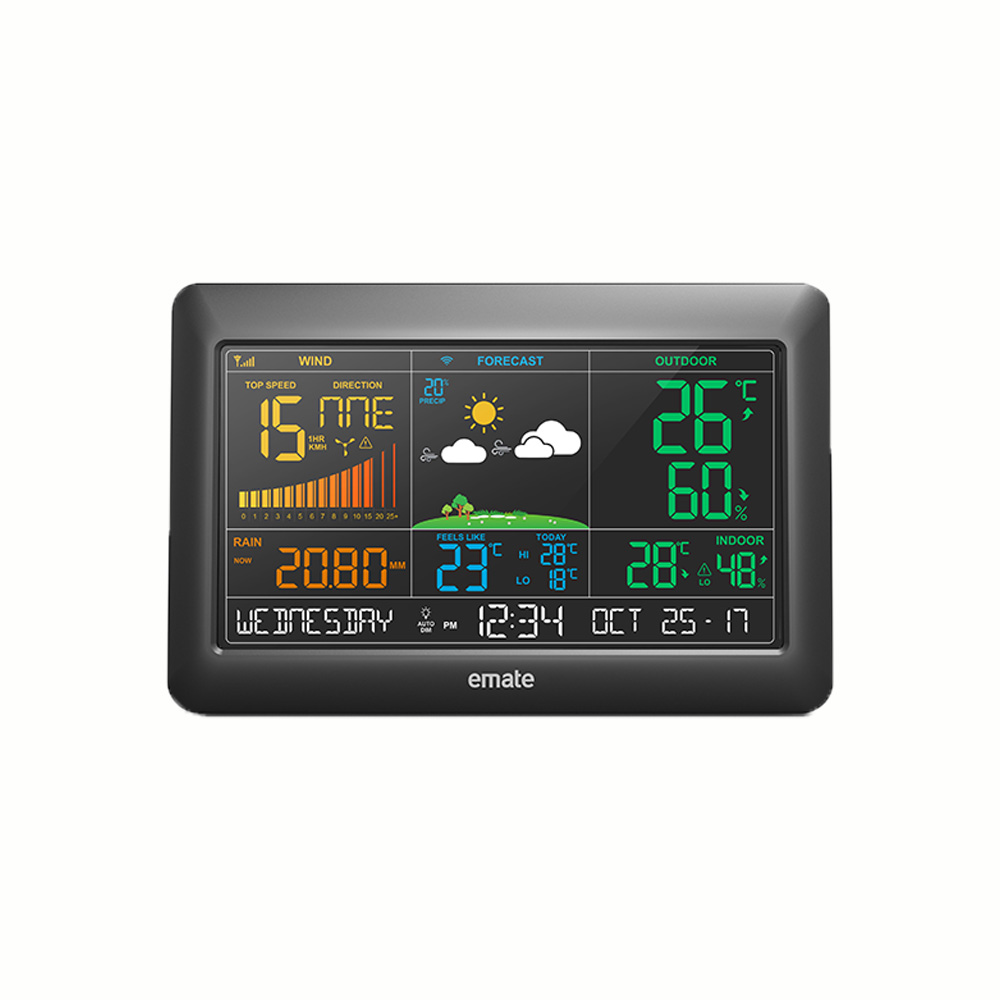 Wireless Weather Station with Wind and Rain Gauges