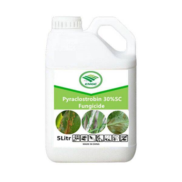 Fungicide Pyraclostrobin 250g/L EC 30% SC Featured Image