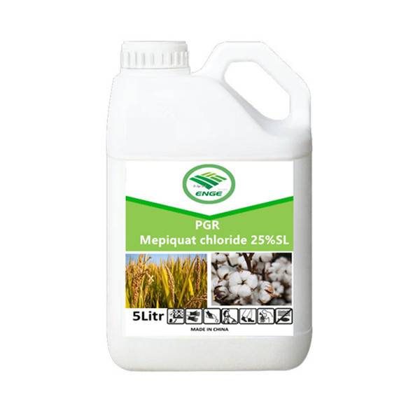 Mepiquat chloride 98%TC 25%SL Plant growth regulator