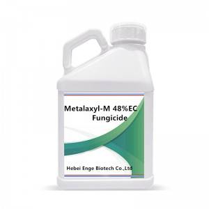 Metalaxyl-M fungicide 35% WP  48% EC in agriculture