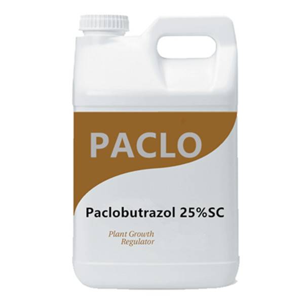 Plant growth regulator Paclobutrazol  25% SC 15% WP in agriculture
