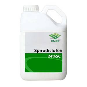 Spirodiclofen insecticide 24%SC 96%TC