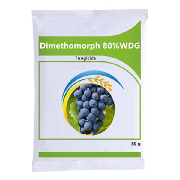 Dimethomorph Fungicide 50% WP 80% WDG 20% SC Featured Image