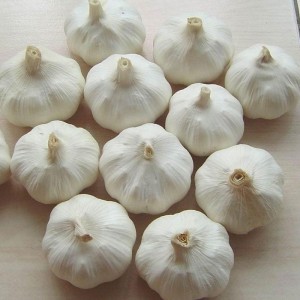 2022 Muriho Mutsva Normal White Fresh Garlic From Jinxiang China