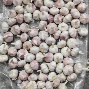 2022 Ny afgrøde Normal hvid frisk hvidløg fra Jinxiang Kina