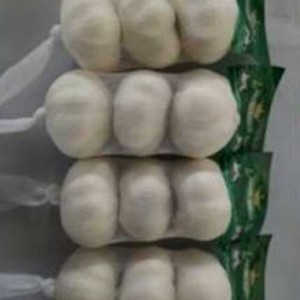 2022 New Crop Normal White Fresh Küüslauk Jinxiang Hiinast