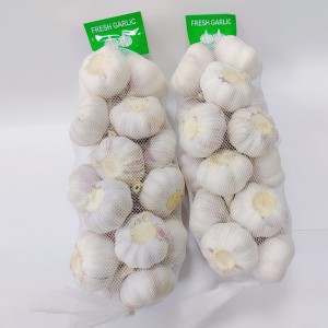 2022 New Crop Normal White Fresh Küüslauk Jinxiang Hiinast