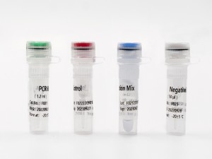 TAGMe DNA Methylation Detection Kits (qPCR) vir...