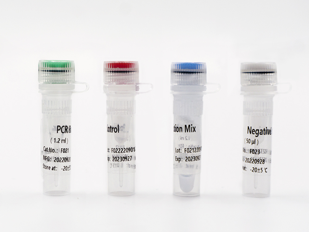 TAGMe DNA Methylation Detection Kits (qPCR) vir Urotheelkanker Uitgestalde beeld