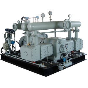 LNG-BOG Piston Compressor for Natural Gas Station