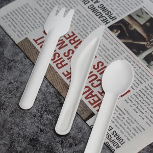 New Fashion Design for Stainless Steel Cutlery Price - Paper Cutlery – Erdong