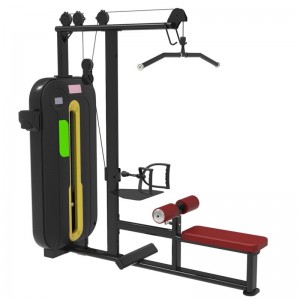Adjustable Weight Trainer Lat Pulldown Plus Low Row EC-6859