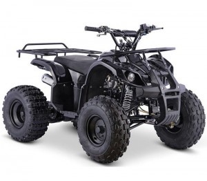 Little Bull ATV 4WD Electric Allover Large 125 Benzine 4WD Adult Mountain Bike